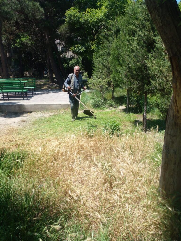 80 sayli mkis12