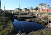 Binəqədi IV dövr Fauna və Flora Təbiət Abidəsi barədə maraqlı faktlar bineqedi-fauna-flora-tebiet-abidesi