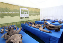 BİNƏQƏDİ RAYONU HAQQINDA ÜMUMİ MƏLUMAT bineqedi-fauna-tarix