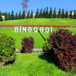 Binəqədi şosesində hərəkətin təşkili dəyişdirilir – VİDEO