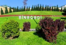 Nazirliyin Binəqədidə yaşayan qaziyə verdiyi avadanlıqlar mənimsənilib – İDDİA – VİDEO