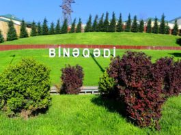Binəqədi şosesində hərəkətin təşkili dəyişdirilir – VİDEO