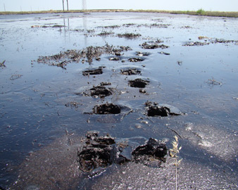 bineqedi-tarix-qir-golu bineqedi-tarix-qir-golu