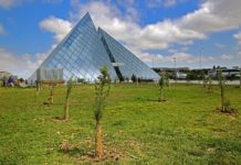 Binəqədidə Milli Mətbuat Günü münasibətilə 300-dən çox ağac əkilib