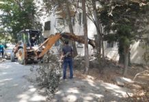 İstirahət parkında təmizlik işləri aparılır – Fotolar