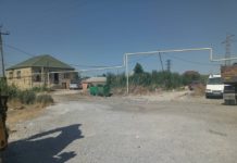 Biləcəridə heyvanlara qarşı rəhmsiz davranan şəxslə bağlı tədbir görüldü