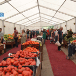 “Kənddən Şəhərə” Novruz yarmarkaları başlayır yarmarka-bazar-ticaret-kend-teserrufati.jpeg