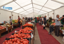 Binəqədidə də “Kənddən şəhərə” həftəsonu yarmarkası keçiriləcək – Fotolar yarmarka-bazar-ticaret-kend-teserrufati.jpeg