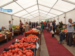 “Kənddən Şəhərə” Novruz yarmarkaları başlayır yarmarka-bazar-ticaret-kend-teserrufati.jpeg