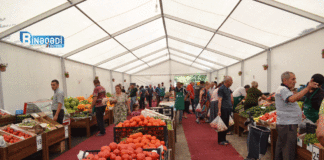 “Kənddən Şəhərə” Novruz yarmarkaları başlayır yarmarka-bazar-ticaret-kend-teserrufati.jpeg