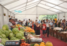 Binəqədidə qış yarmarkası keçiriləcək yarmarka-bazar-ticaret-kend-teserrufati1.jpeg