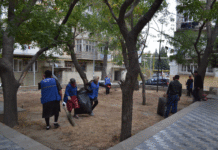 Binəqədidə iməclik – təmizlik aksiyasına sakinlər də qoşulub – Fotolar