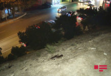 Binəqədidə dəhşətli qətl: bibisi qızı ilə ailə quran kürəkən qayınanasını yandırıb bineqedi-binagadi-qetl-olum-baku-baki