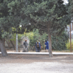 Ümumşəhər iməciliyi çərçivəsində Binəqədidə abadlıq-təmizlik işləri aparılır – FOTO bineqedi-imecilik-binagadi-abadliq-quruculuq16.jpeg