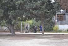 Binəqədi rayonu ərazisində abadlıq, təmizlik işləri davam etdirilir – FOTO bineqedi-imecilik-binagadi-abadliq-quruculuq16.jpeg