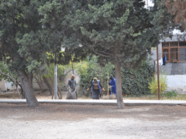 Ümumşəhər iməciliyi çərçivəsində Binəqədidə abadlıq-təmizlik işləri aparılır – FOTO bineqedi-imecilik-binagadi-abadliq-quruculuq16.jpeg