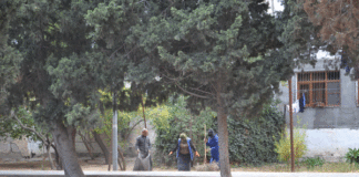 Ümumşəhər iməciliyi çərçivəsində Binəqədidə abadlıq-təmizlik işləri aparılır – FOTO bineqedi-imecilik-binagadi-abadliq-quruculuq16.jpeg