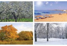 2020-ci ildə fəsillər Azərbaycana bu tarixlərdə daxil olacaq fesiller