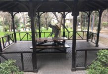 Binəqədidə koronavirus əleyhinə tədbirlər davam etdirilir koronavirus