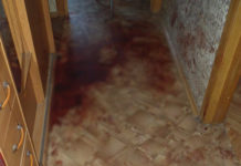 Binəqədidə kirayənişin ev sahibini bıçaqladı bıneqedı bıcaqlama