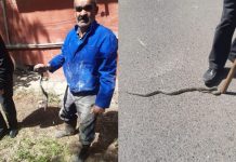 7-ci mikrorayonda yaşayış binasının yaxınlığında daha üç ilan zərərsizləşdirildi bineqedide ilan