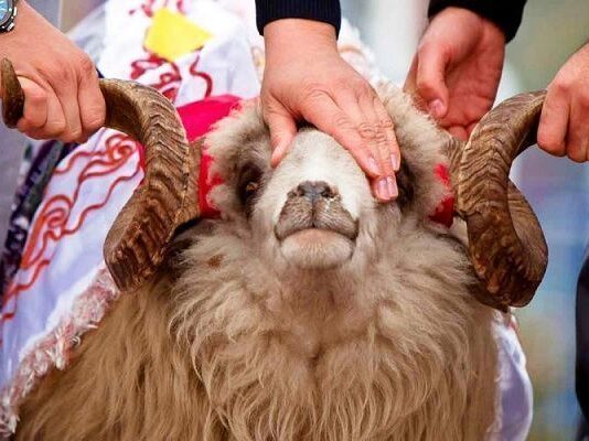 Azərbaycanda Qurban bayramı qeyd olunur qurban-bayrami
