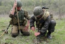 İşğaldan azad olunmuş torpaqlarımızın hansı müddətə minalardan təmizlənəcəyi açıqlandı – RƏSMİ