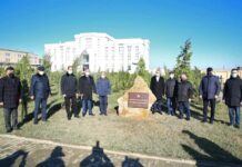 Binəqədidə şəhidlərin xatirəsinə ağacəkmə aksiyası keçirildi – Fotolar