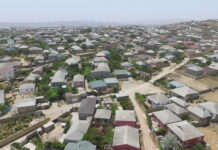 Binəqədidə ağacları zədələyən şəxs cəzalandırıldı bineqedi-birinci-meden