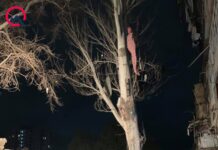 Xırdalanda güclü partlayış baş verib – Foto+Video xirdalan-partlayis