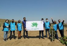 Binəqədidə ağacəkmə aksiyası keçirilib – Fotolar