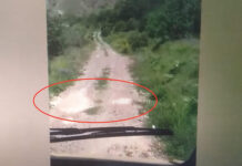 Kəlbəcərdə jurnalistlərin minaya düşdüyü anın – Videosu