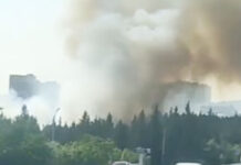 Binəqədidə ağaclıq ərazidə yanğın – Video