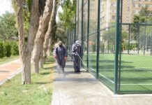 Binəqədidə pandemiya əleyhinə dezinfeksiya işləri davam edir – Fotolar