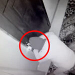 Bakıda parik taxaraq cinayətlər törədibmiş – Video