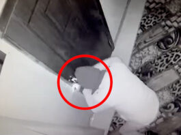 Bakıda parik taxaraq cinayətlər törədibmiş – Video