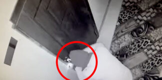 Bakıda parik taxaraq cinayətlər törədibmiş – Video