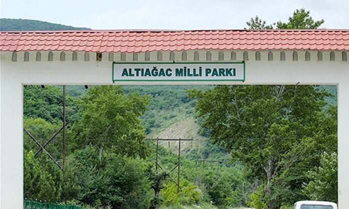 milli-parklar-altiagac-milli-parki