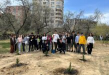 Binəqədidə ağacəkmə aksiyası keçirilib – FOTOLAR agacekme-bineqedi