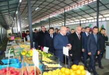 Binəqədidə kənd təsərrüfatı məhsullarının satış yarmarkası fəaliyyətə başladı – FOTOLAR bineqedi-yarmarka-kend-teserrufati.png