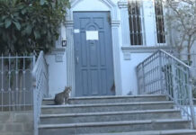 Binəqədidə uşaq sığınacağında nə baş verib? – VİDEO siginacaq-usaq-kemale-agazade-bineqedi.png