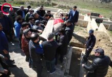 Oqtay Əliyevin ölümü ilə bağlı maraqlı məqam: sükan arxasında nə baş verib? oqtay-eliyev-defn.png