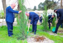 M. Ə. Rəsulzadə qəsəbəsində ağacəkmə aksiyası keçirilib – FOTOLAR bineqedi-resulzade-qesebesinde-agacekme-aksiyasi.png