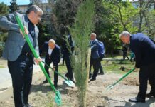 Binəqədidə bu binaların həyətində ağacəkmə aksiyası keçirildi – FOTOLAR bineqedi-agac-ekme-aksiyasi-mikrorayon.png