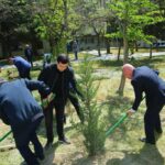 Binəqədidə növbəti ağacəkmə aksiyası keçirildi – Foto bineqedi-agac-ekme-aksiyasi-mikrorayon2.png
