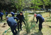 Binəqədidə növbəti ağacəkmə aksiyası keçirildi – Foto bineqedi-agac-ekme-aksiyasi-mikrorayon2.png