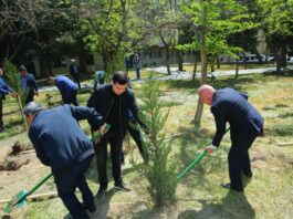 Binəqədidə növbəti ağacəkmə aksiyası keçirildi – Foto bineqedi-agac-ekme-aksiyasi-mikrorayon2.png