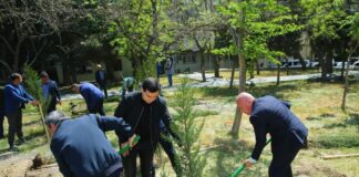 Binəqədidə növbəti ağacəkmə aksiyası keçirildi – Foto bineqedi-agac-ekme-aksiyasi-mikrorayon2.png
