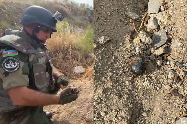 bineqedi herbi sursat png