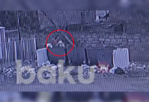 Ana 15 günlük körpəsini zibilliyə belə atıb – Video